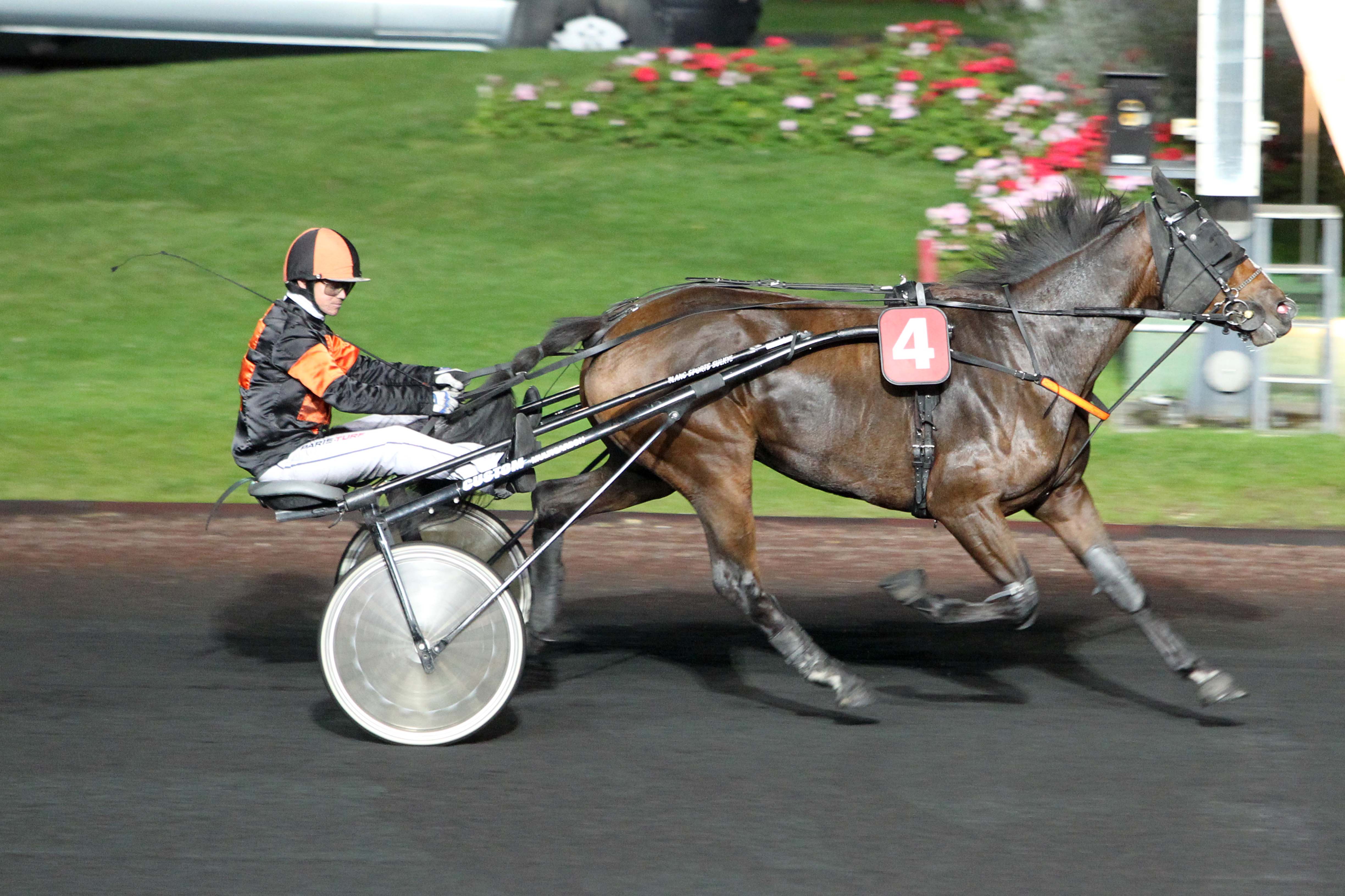 Arrivée quinté pmu PRIX ELSA à PARIS-VINCENNES