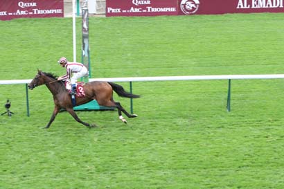 Arrivée quinté pmu QATAR PRIX DOLLAR à LONGCHAMP