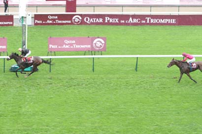 Arrivée quinté pmu QATAR RACING ET EQUESTRIAN CLUB à LONGCHAMP