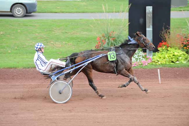 Arrivée quinté pmu PRIX CARREFOUR FEURS à FEURS