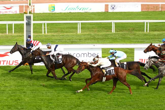 Arrivée quinté pmu PRIX DU BOUSCAT à BORDEAUX-LE BOUSCAT