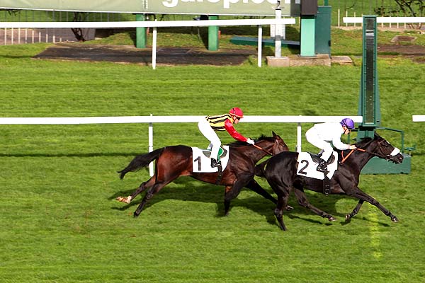 Arrivée quinté pmu PRIX NATIVA à SAINT-CLOUD
