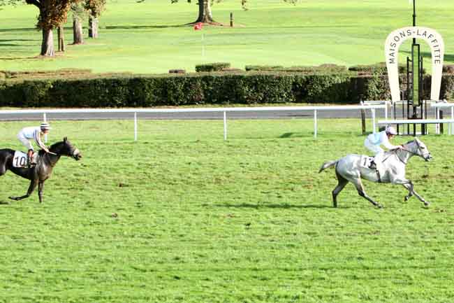 Arrivée quinté pmu PRIX DU VAL D'OR à MAISONS-LAFFITTE