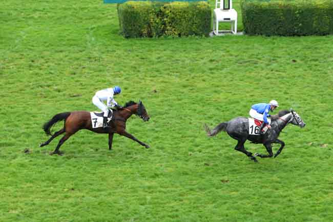 Arrivée quinté pmu PRIX ANDRE ADELE - PRIX DU JOURNAL GENYCOURSES à AUTEUIL
