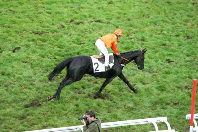Arrivée quinté pmu PRIX FABIANO à AUTEUIL