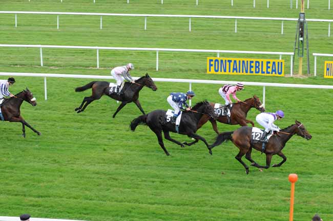 Arrivée quinté pmu PRIX ROLAND FOUGEDOIRE à FONTAINEBLEAU