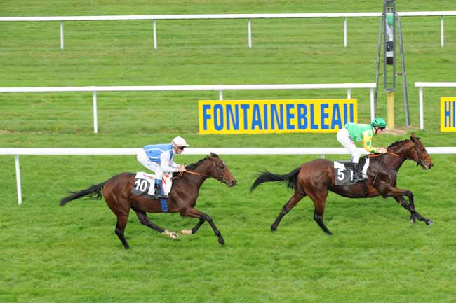 Arrivée quinté pmu PRIX DE LA PORTE NADON à FONTAINEBLEAU