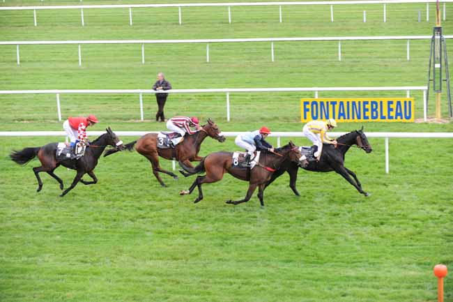 Arrivée quinté pmu PRIX BARON DE LA ROCHETTE à FONTAINEBLEAU