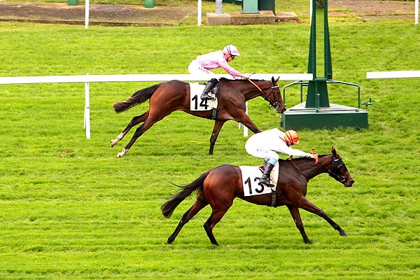 Arrivée quinté pmu PRIX ALIPS à SAINT-CLOUD