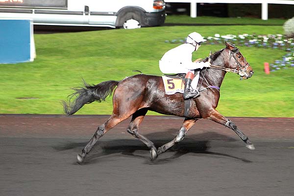 Arrivée quinté pmu PRIX EUTERPE à PARIS-VINCENNES