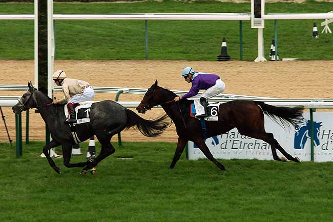 Arrivée quinté pmu PRIX DES RESERVOIRS - HARAS D'HETREHAM à DEAUVILLE