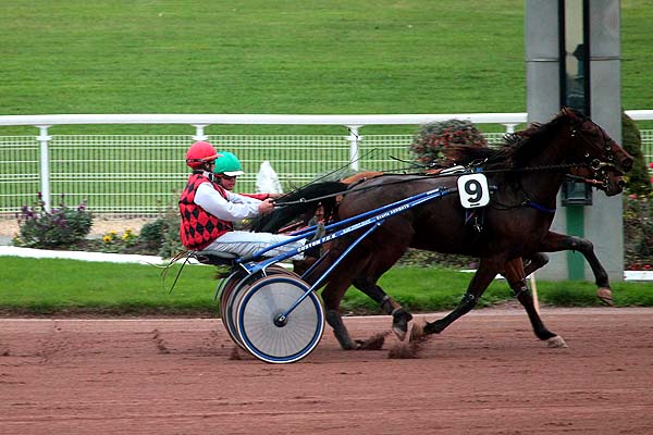 Arrivée quinté pmu PRIX DU BAS-RHIN à ENGHIEN