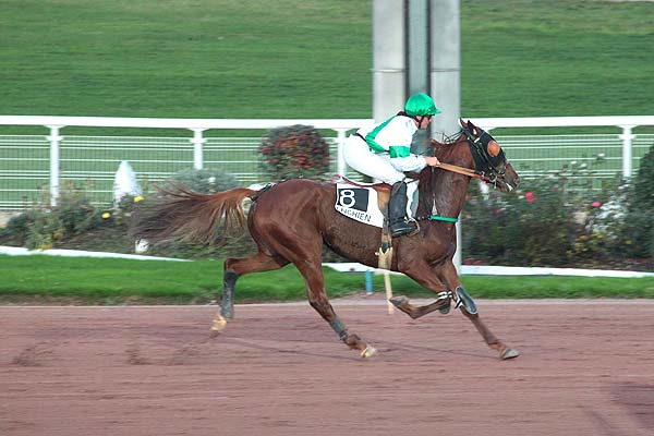 Arrivée quinté pmu PRIX DE LA BASTILLE à ENGHIEN
