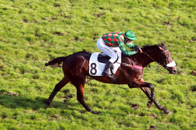 Arrivée quinté pmu PRIX EMILIUS à AUTEUIL