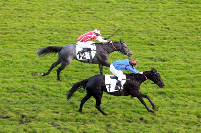 Arrivée quinté pmu PRIX FALZAREGO à AUTEUIL