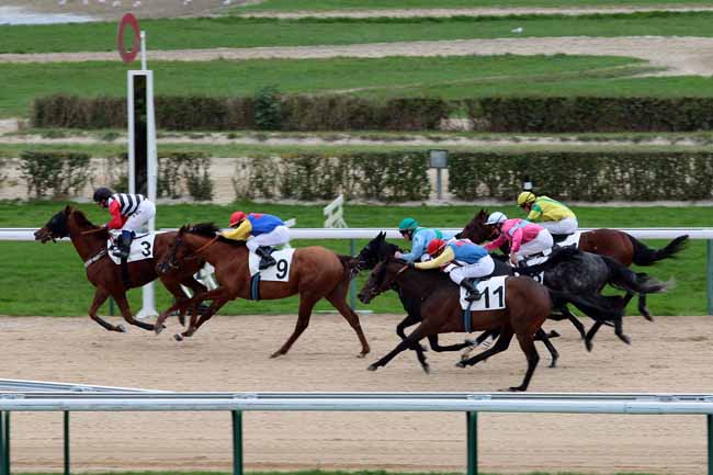Arrivée quinté pmu PRIX DES VACHES NOIRES à DEAUVILLE