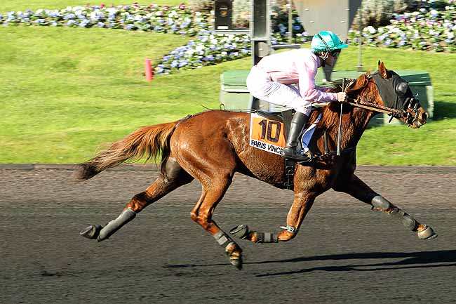 Arrivée quinté pmu PRIX DE CHAROLLES à PARIS-VINCENNES