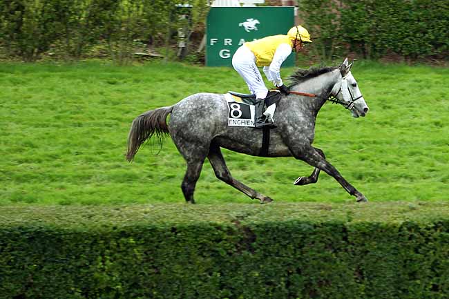 Arrivée quinté pmu PRIX BUCHEUR à ENGHIEN