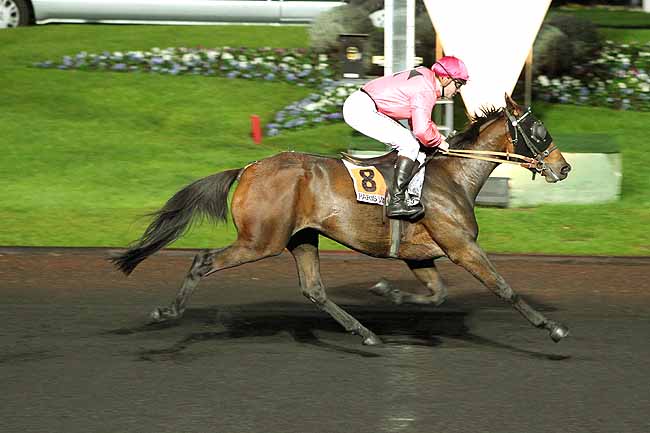 Arrivée quinté pmu PRIX MENSA à PARIS-VINCENNES
