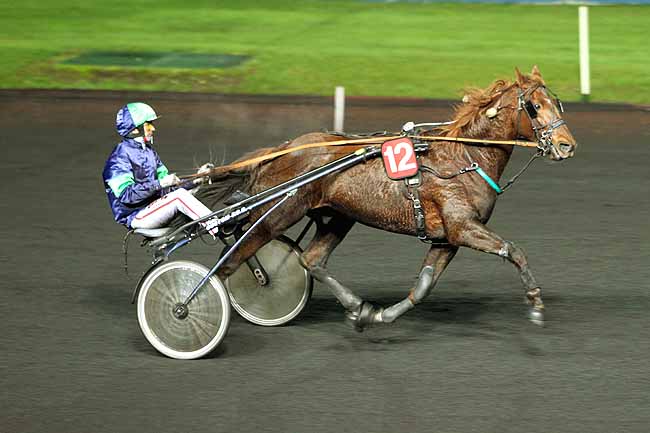 Arrivée quinté pmu PRIX GALLEA à PARIS-VINCENNES