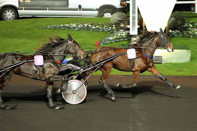 Arrivée quinté pmu PRIX UNA à PARIS-VINCENNES