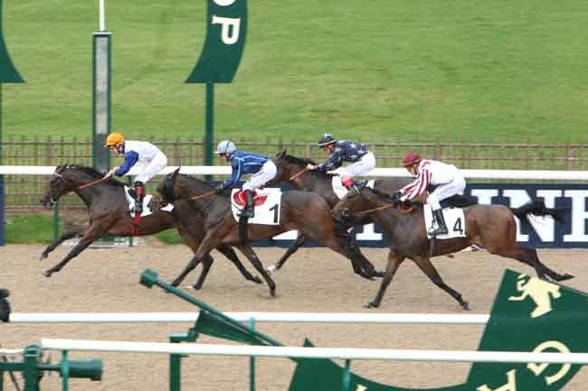 Arrivée quinté pmu PRIX DU SAUSSAY à CHANTILLY