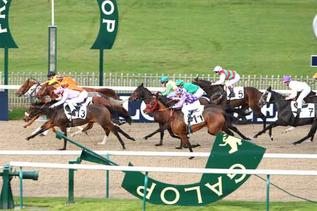 Arrivée quinté pmu PRIX DU BOIS DE LA TUILERIE à CHANTILLY