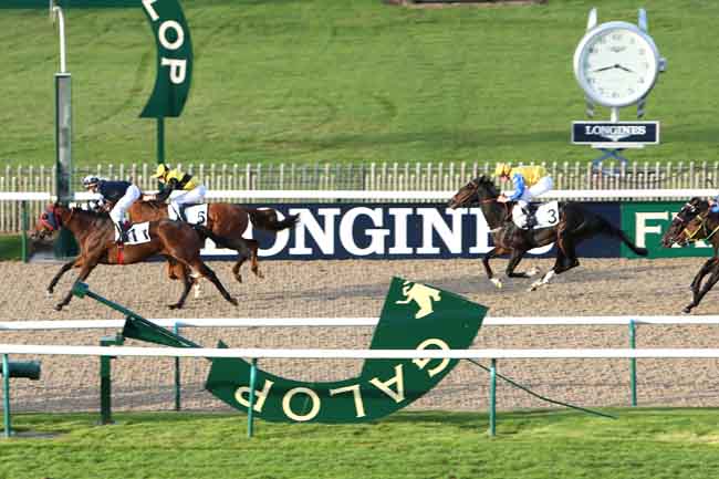 Arrivée quinté pmu PRIX DU BOIS DU TRIANGLE à CHANTILLY