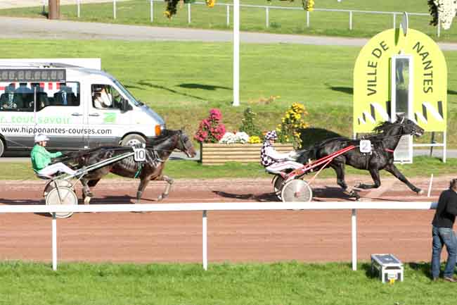 Arrivée quinté pmu PRIX HBC NANTES à NANTES
