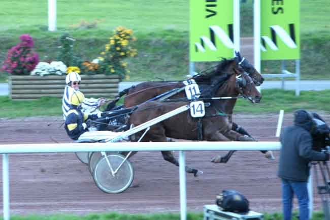 Arrivée quinté pmu PRIX OUEST FRANCE (GR B) à NANTES