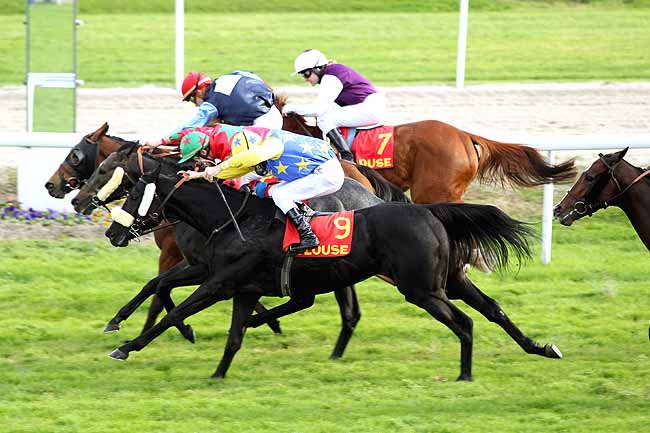 Arrivée quinté pmu GRAND HANDICAP DE TOULOUSE à TOULOUSE