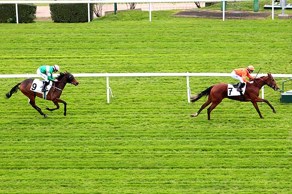 Arrivée quinté pmu PRIX D'ECQUEVILLY à SAINT-CLOUD