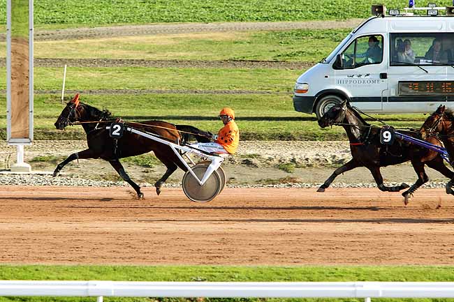 Arrivée quinté pmu PRIX DE BEHEM à TOULOUSE