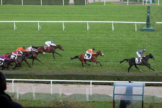 Arrivée quinté pmu PRIX DE L'ELEVAGE à SAINT-CLOUD