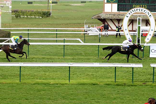 Arrivée quinté pmu PRIX CHOUTE à COMPIEGNE