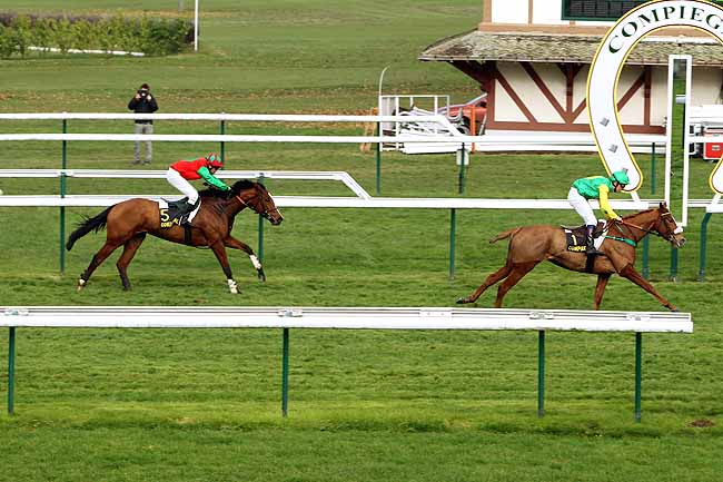 Arrivée quinté pmu PRIX D'AIGUEPERSE à COMPIEGNE
