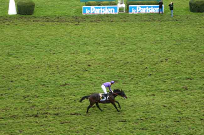 Arrivée quinté pmu PRIX FRANCOIS DE GANAY (PRIX LE PARISIEN) à AUTEUIL