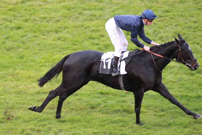 Arrivée quinté pmu PRIX DU ROCHER DE BOULIGNY à FONTAINEBLEAU