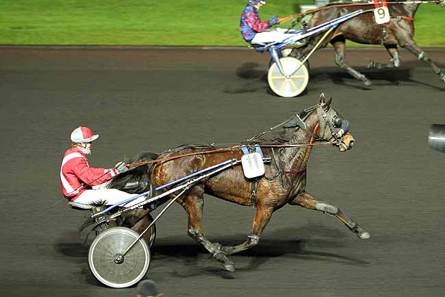 Arrivée quinté pmu PRIX HEDDA à PARIS-VINCENNES
