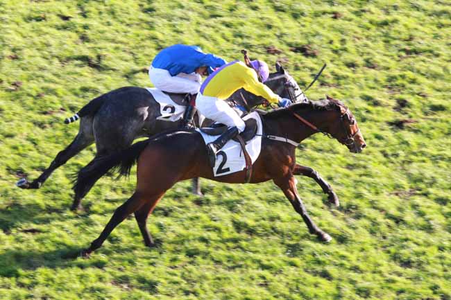 Arrivée quinté pmu PRIX FIFRELET à AUTEUIL