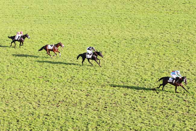 Arrivée quinté pmu PRIX MORGEX à AUTEUIL