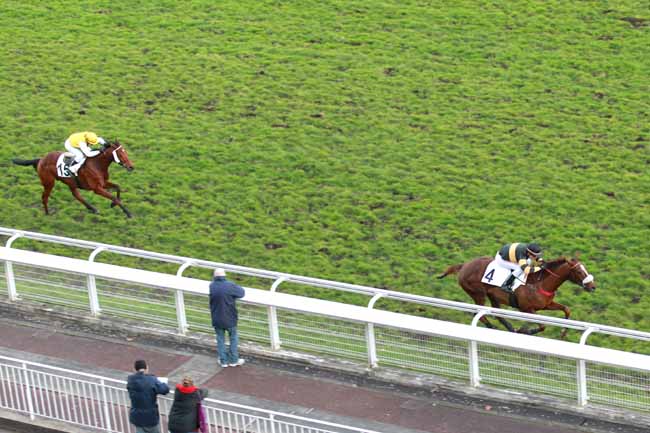 Arrivée quinté pmu PRIX SANTO PIETRO à AUTEUIL