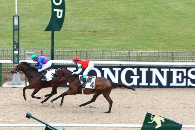Arrivée quinté pmu PRIX DE L'ALLEE SANS SOUCIS à CHANTILLY