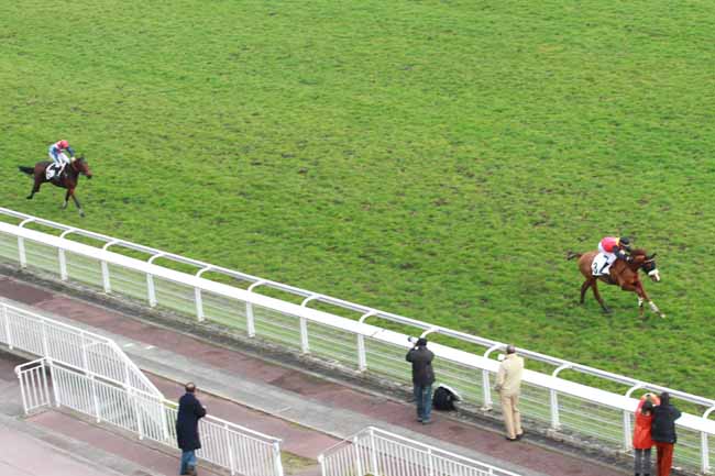 Arrivée quinté pmu PRIX CHALET à AUTEUIL