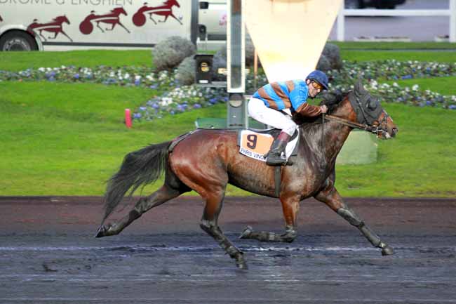 Arrivée quinté pmu PRIX D'ALES à PARIS-VINCENNES