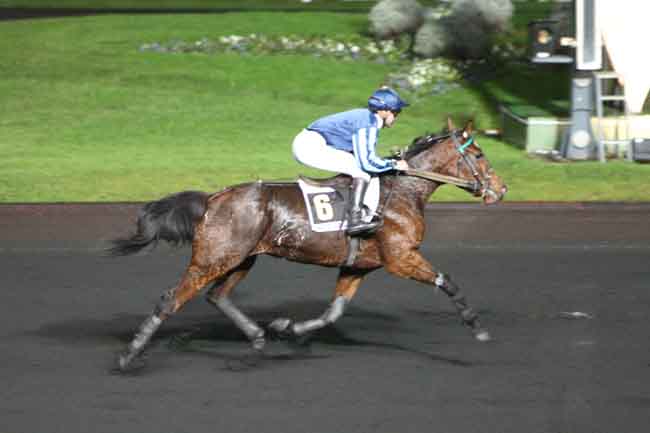 Arrivée quinté pmu PRIX DE MERAL à PARIS-VINCENNES