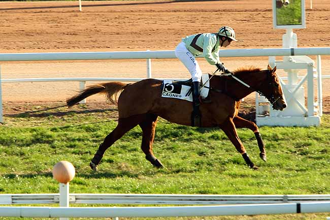 Arrivée quinté pmu PRIX DU MONT VIAL à CAGNES-SUR-MER