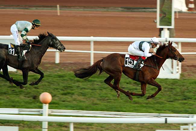Arrivée quinté pmu PRIX PARIONSSURHIPPODROME.COM à CAGNES-SUR-MER