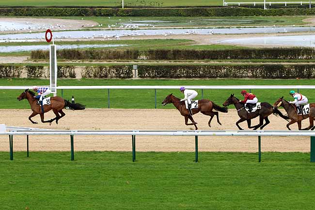 Arrivée quinté pmu PRIX DE LA HAUQUERIE à DEAUVILLE [MATINEE]