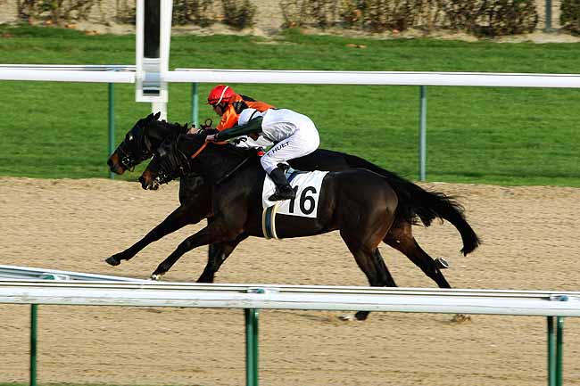 Arrivée quinté pmu PRIX DES CHAUMIERES à DEAUVILLE [MATINEE]